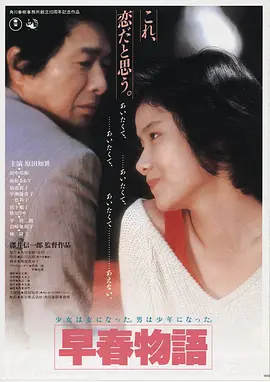 霞光风暴 2026